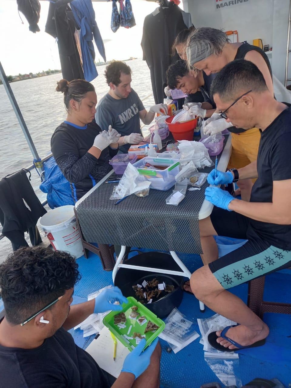 Kerjasama antara Universitas Hasanuddin, Universitas Pattimura, dan University of Leeds dalam Kegiatan Survey Ekologi ClimateREEFS Project